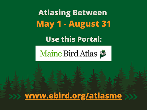 Atlasing between May 1 - August 31, use this portal.
